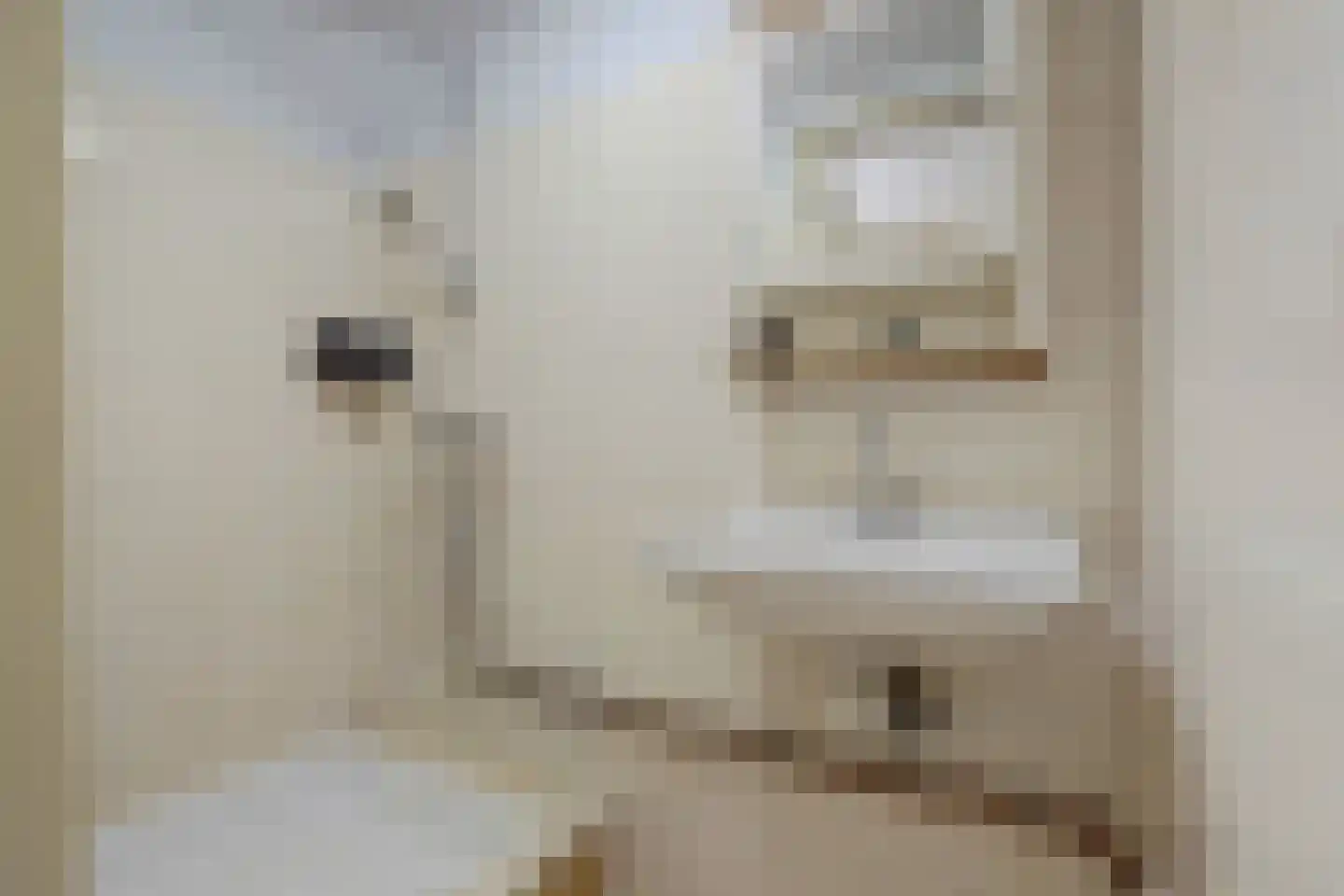 Weteringkade 91 Den Haag thumbnail 36
