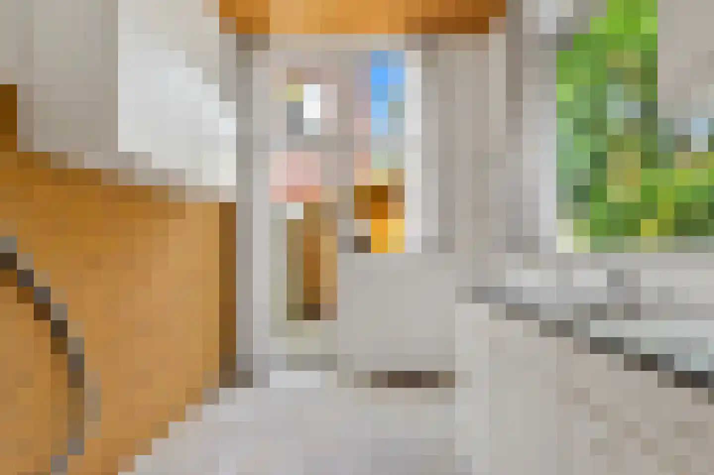 Weteringkade 98 Den Haag thumbnail 11
