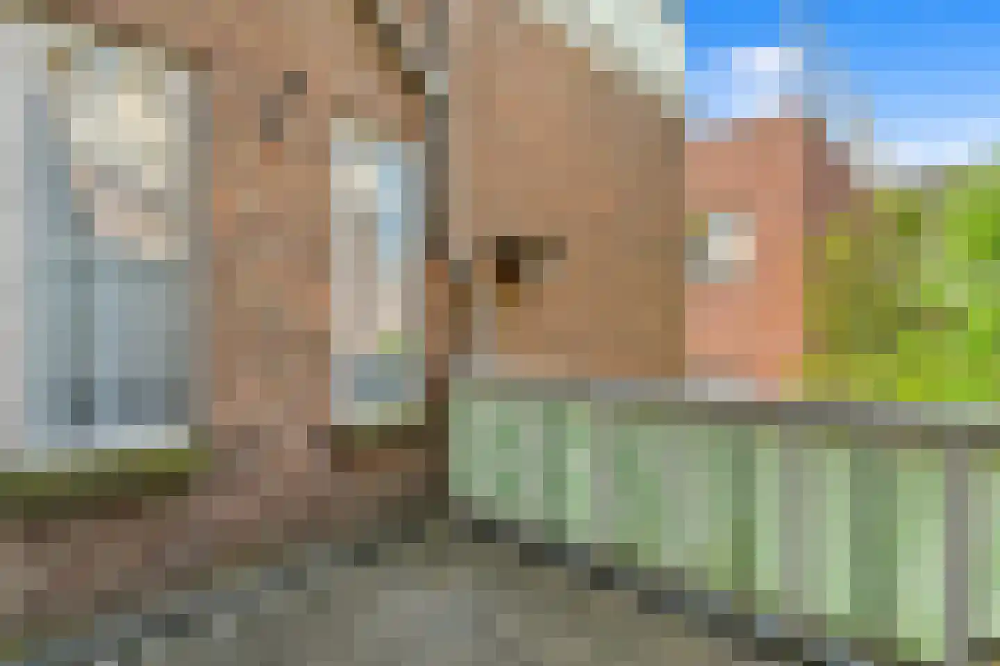 Weteringkade 98 Den Haag thumbnail 24