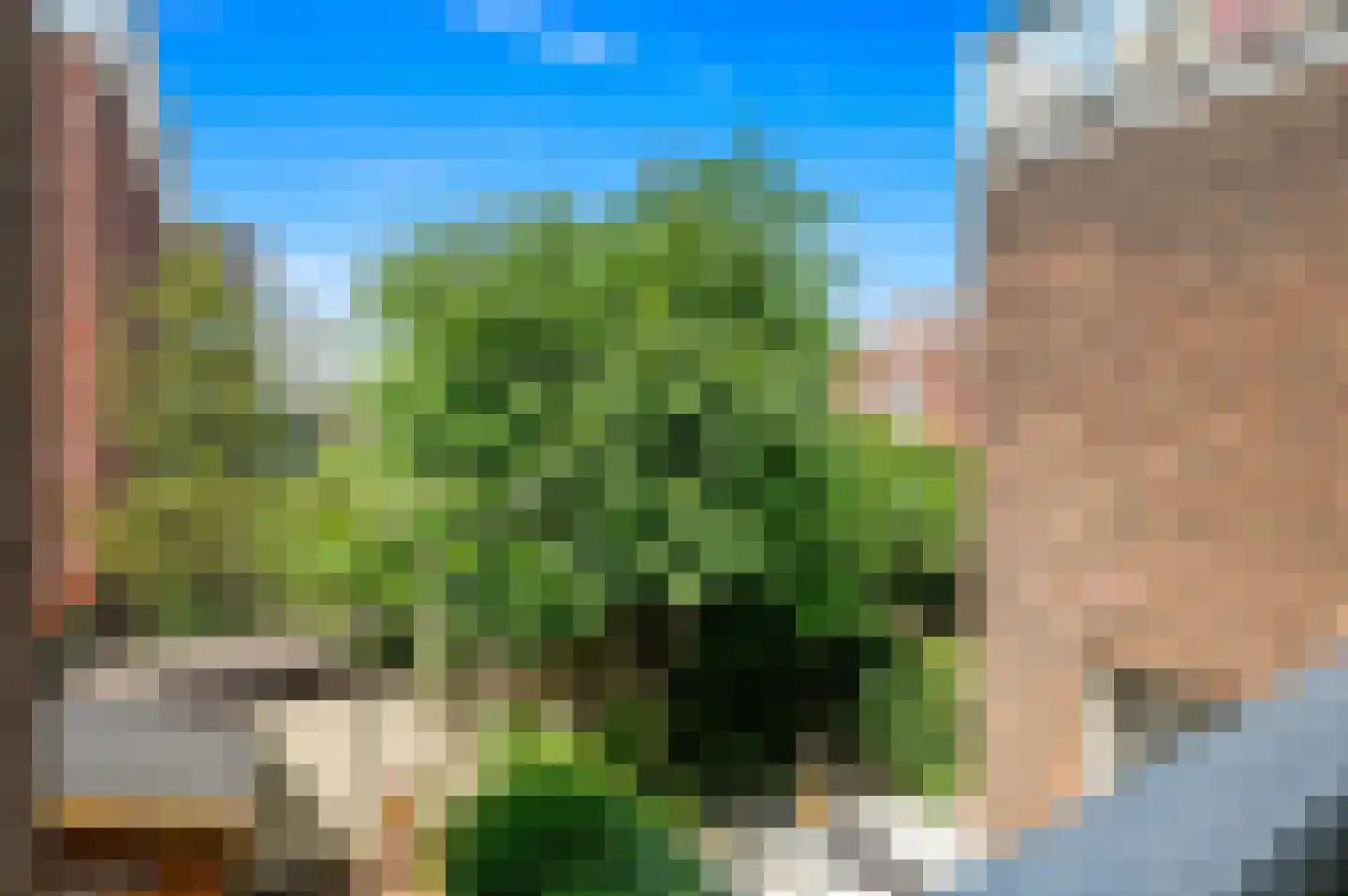 Weteringkade 98 Den Haag thumbnail 28