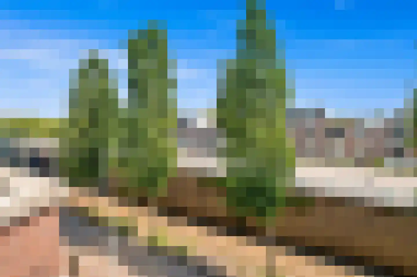 Weteringkade 98 Den Haag thumbnail 36