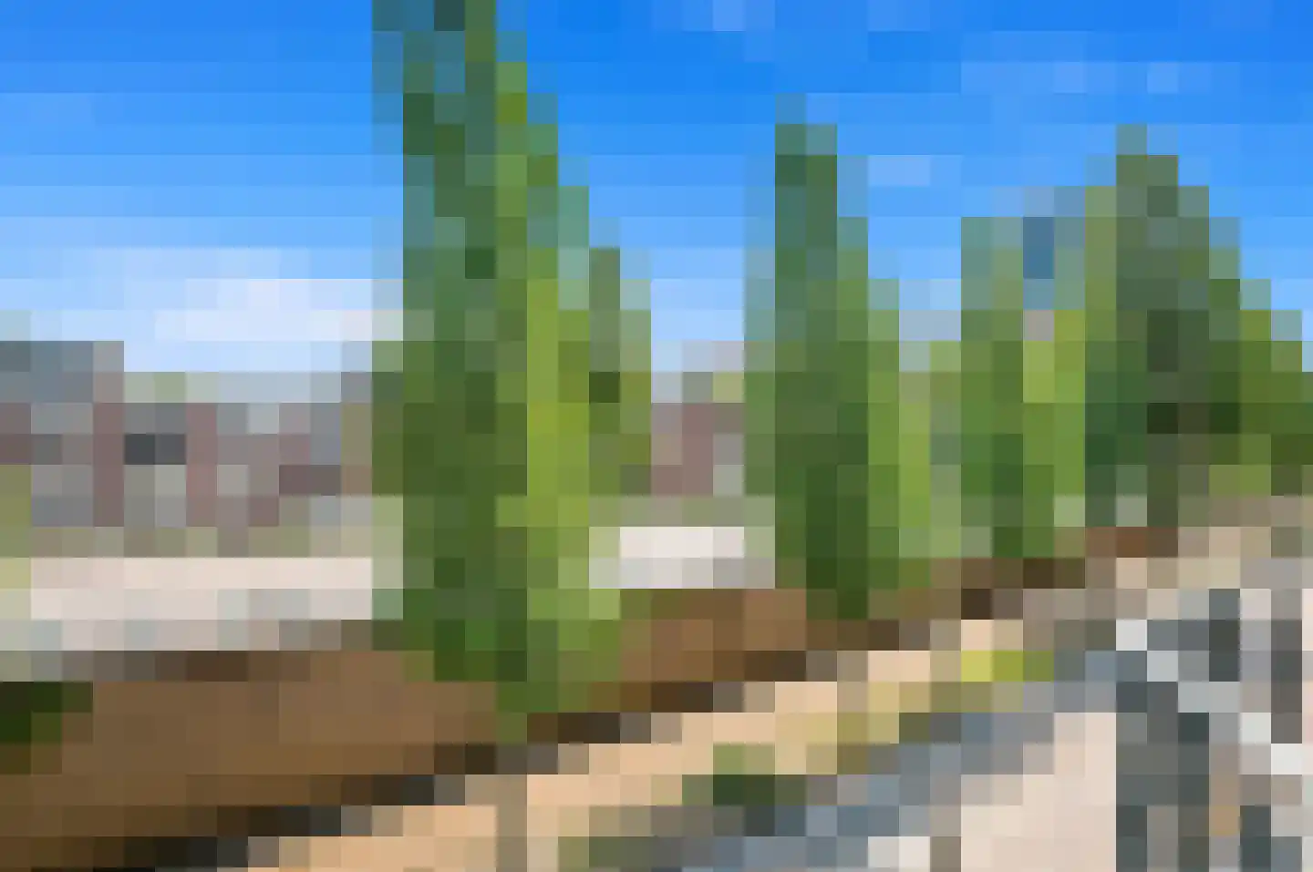 Weteringkade 98 Den Haag thumbnail 37