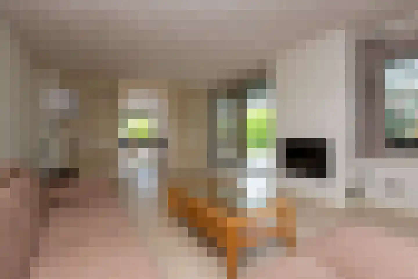 Weteringlaan 148 Tilburg thumbnail 12