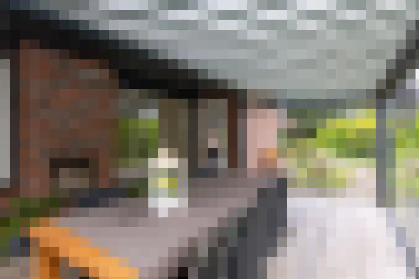Weteringlaan 148 Tilburg thumbnail 17