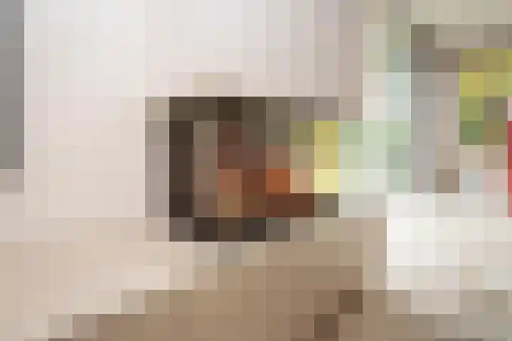 Weteringlaan 167 Tilburg thumbnail 12
