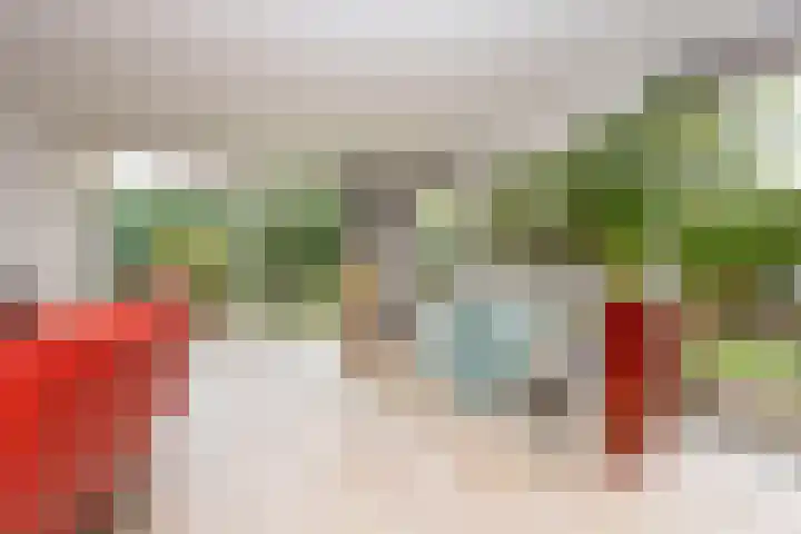 Weteringlaan 167 Tilburg thumbnail 14