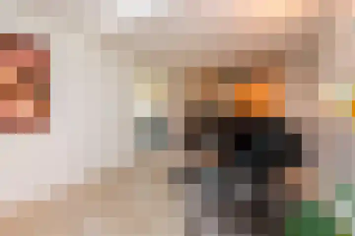 Weteringlaan 167 Tilburg thumbnail 16