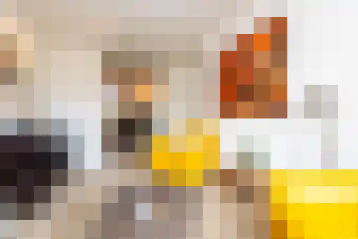 Weteringlaan 167 Tilburg thumbnail 21