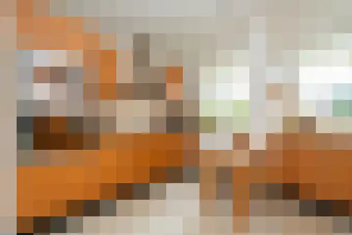 Weteringlaan 167 Tilburg thumbnail 22
