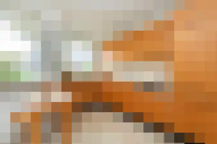 Weteringlaan 167 Tilburg thumbnail 23