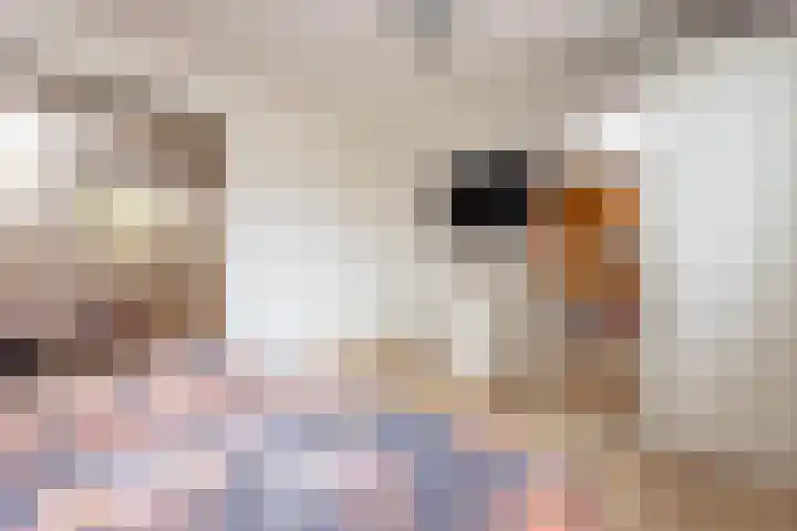 Weteringlaan 167 Tilburg thumbnail 31
