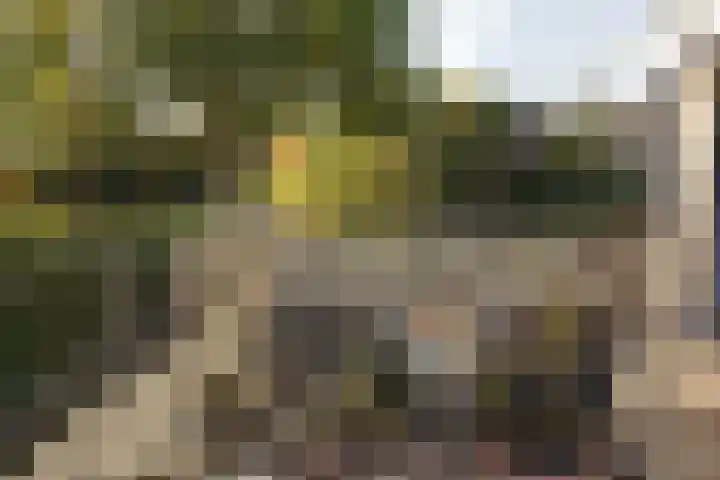 Weteringlaan 167 Tilburg thumbnail 32