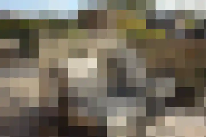 Weteringlaan 167 Tilburg thumbnail 33