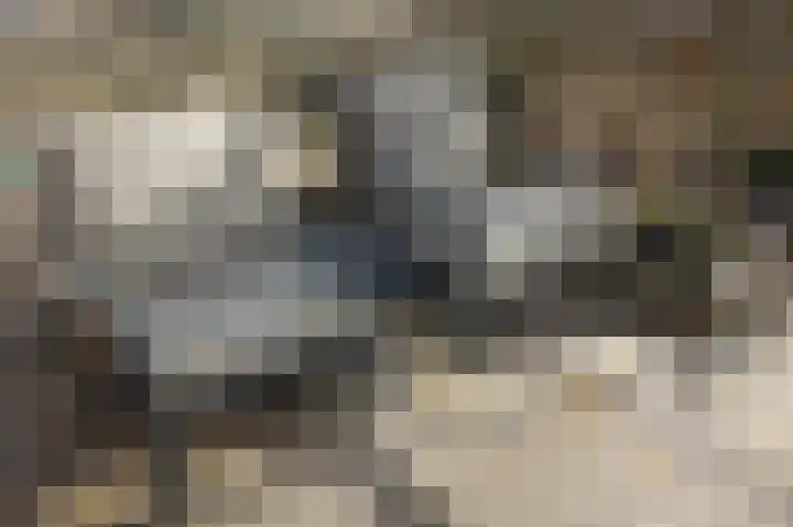 Weteringlaan 167 Tilburg thumbnail 34