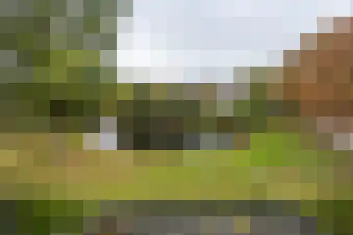 Weteringlaan 167 Tilburg thumbnail 35