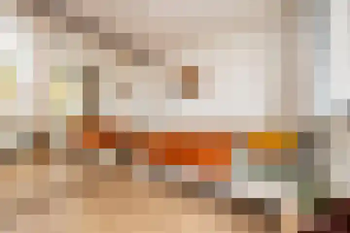 Weteringlaan 167 Tilburg thumbnail 37