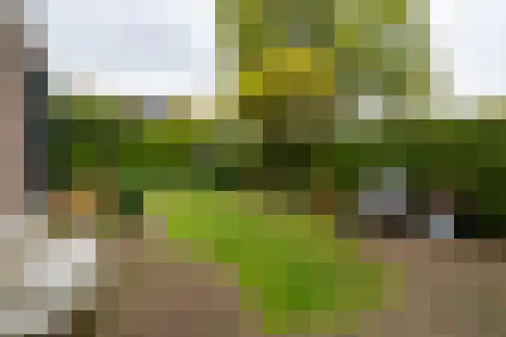 Weteringlaan 167 Tilburg thumbnail 53