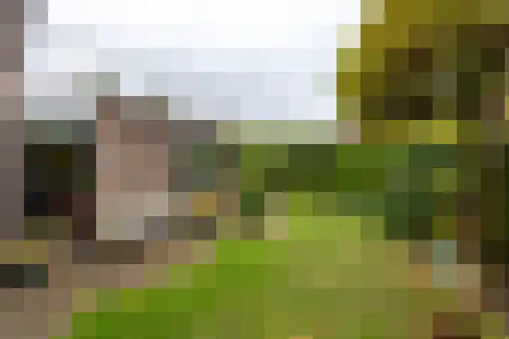 Weteringlaan 167 Tilburg thumbnail 54