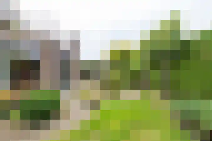 Weteringlaan 167 Tilburg thumbnail 55