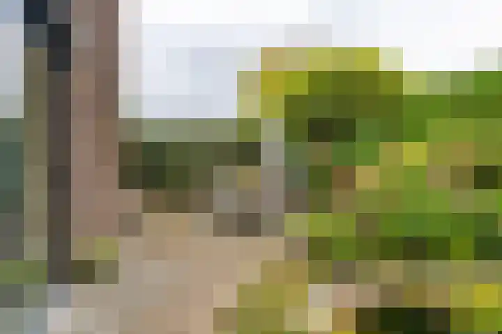 Weteringlaan 167 Tilburg thumbnail 57