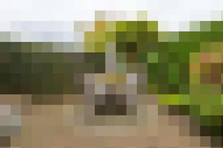 Weteringlaan 167 Tilburg thumbnail 58