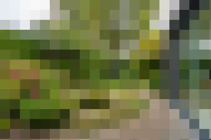 Weteringlaan 167 Tilburg thumbnail 59