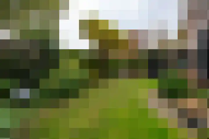 Weteringlaan 167 Tilburg thumbnail 60