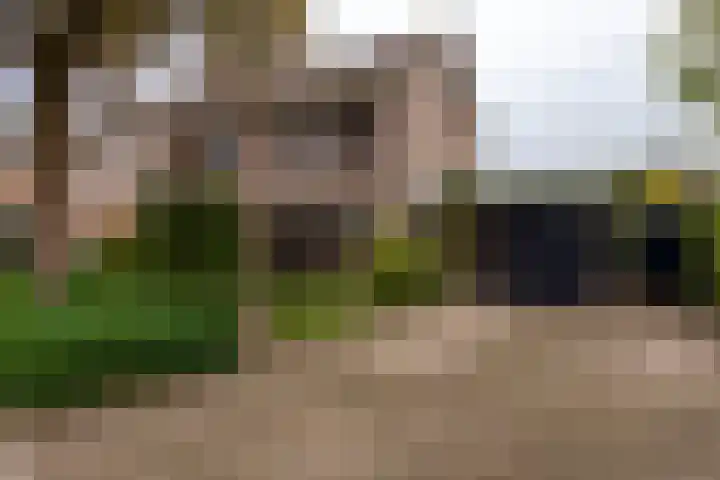 Weteringlaan 167 Tilburg thumbnail 62