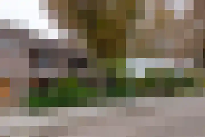 Weteringlaan 167 Tilburg thumbnail 63