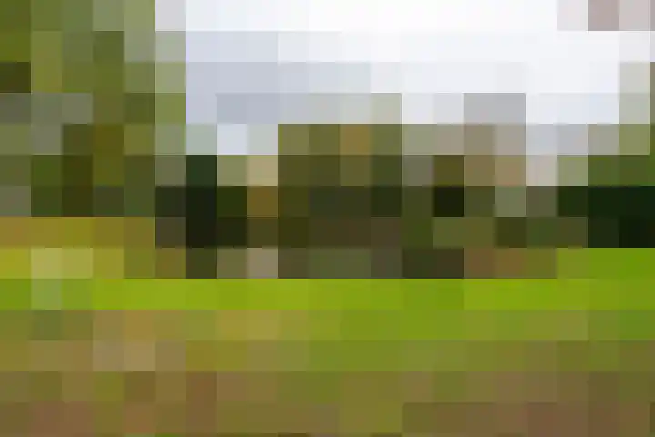 Weteringlaan 167 Tilburg thumbnail 64