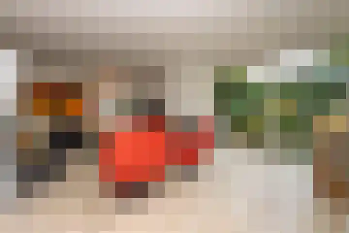 Weteringlaan 167 Tilburg thumbnail 7
