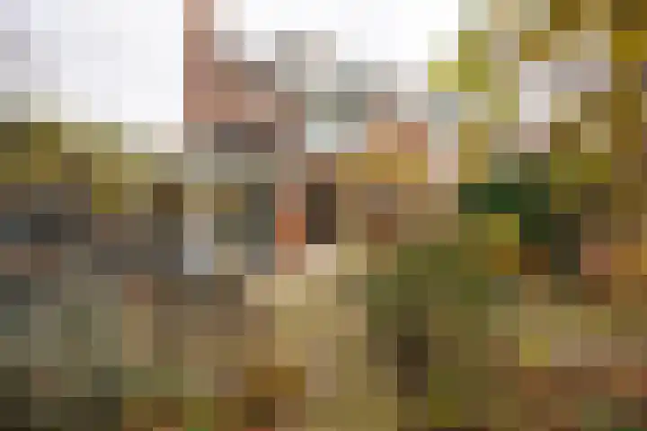 Weteringlaan 17 Delft thumbnail 19