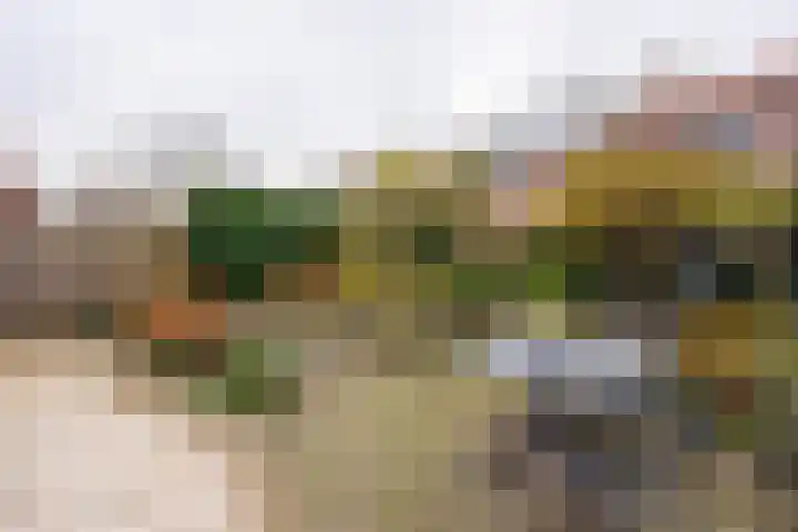 Weteringlaan 17 Delft thumbnail 21