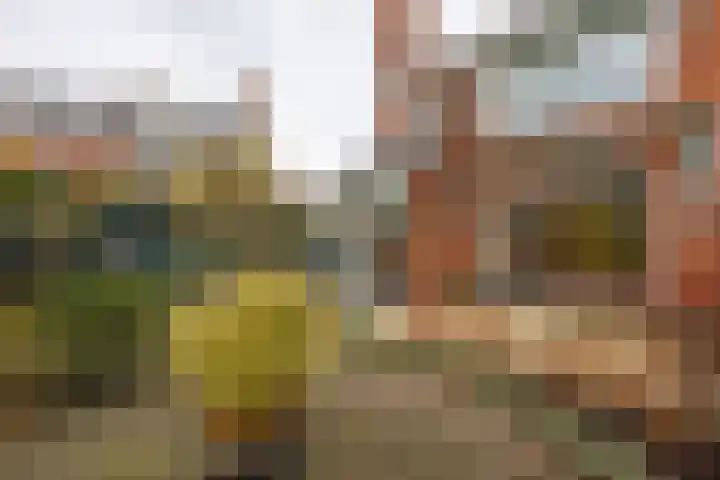 Weteringlaan 17 Delft thumbnail 24