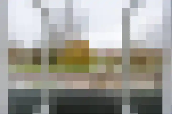Weteringlaan 17 Delft thumbnail 33