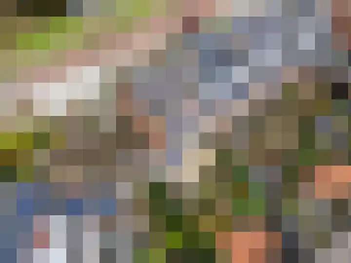 Weteringlaan 17 Delft thumbnail 45