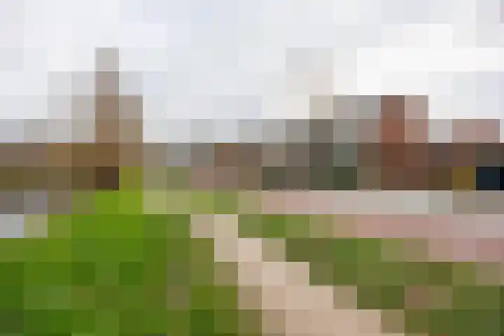Weteringlaan 17 Delft thumbnail 50