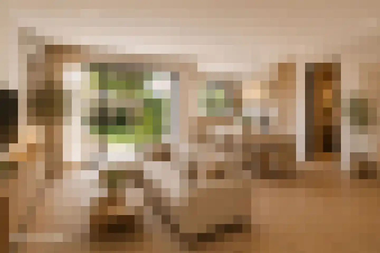 Weteringlaan 176 Tilburg thumbnail 10