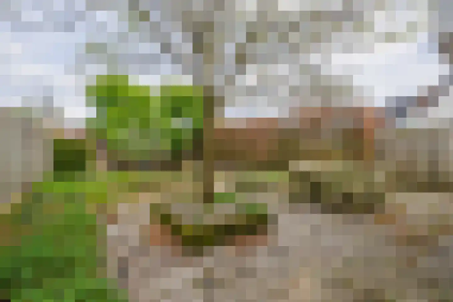 Weteringlaan 176 Tilburg thumbnail 16