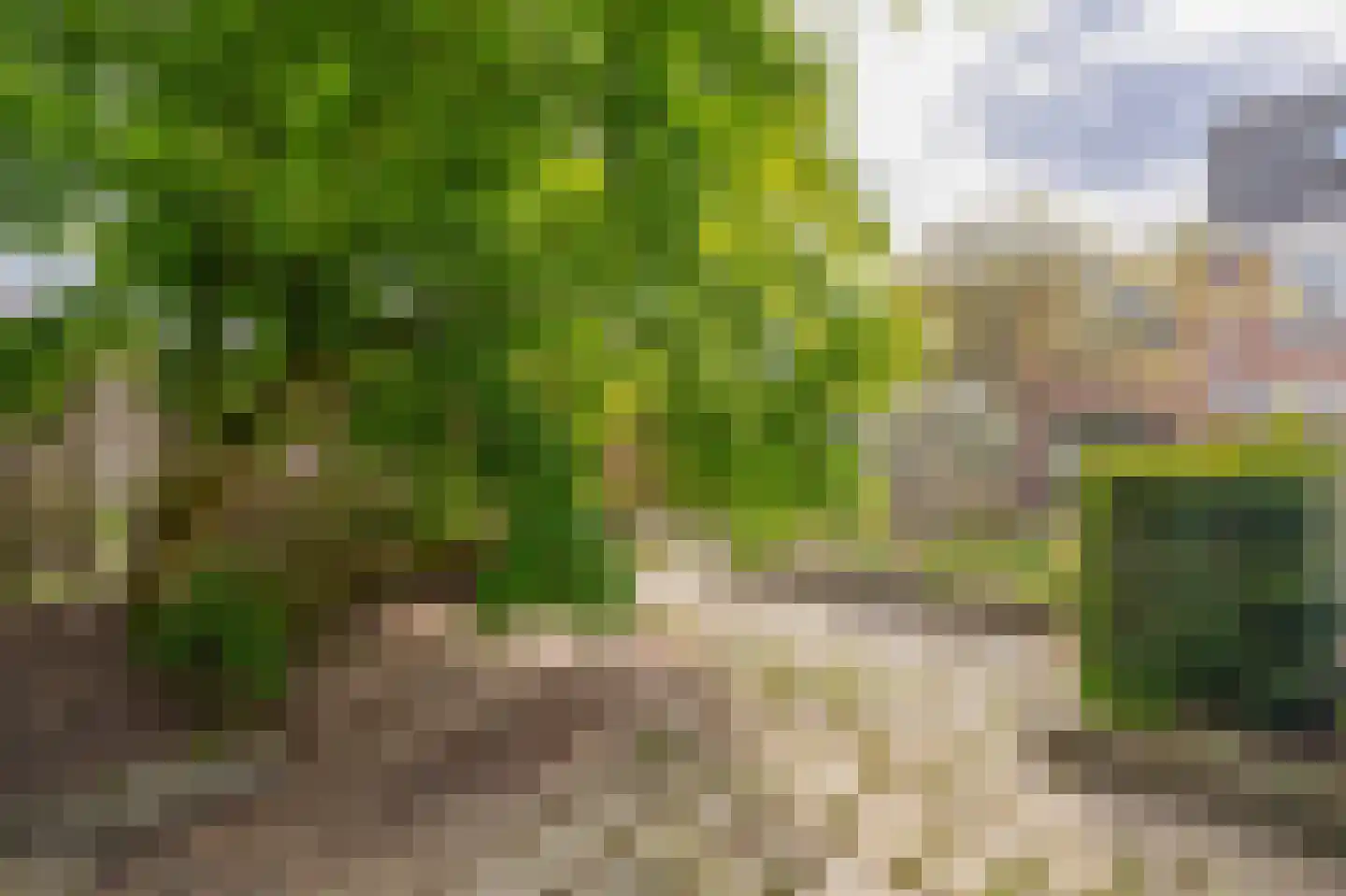 Weteringlaan 176 Tilburg thumbnail 20