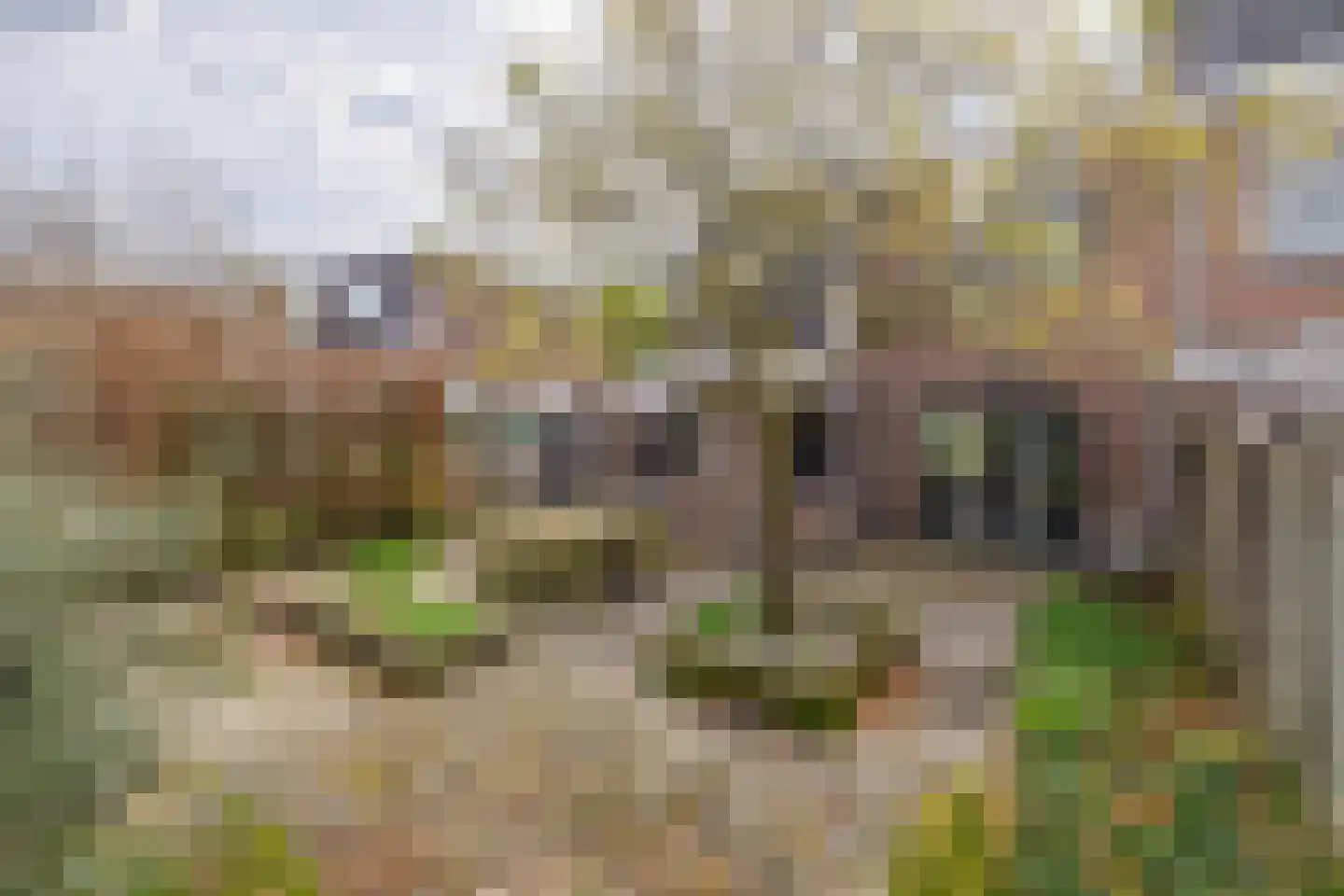 Weteringlaan 176 Tilburg thumbnail 21