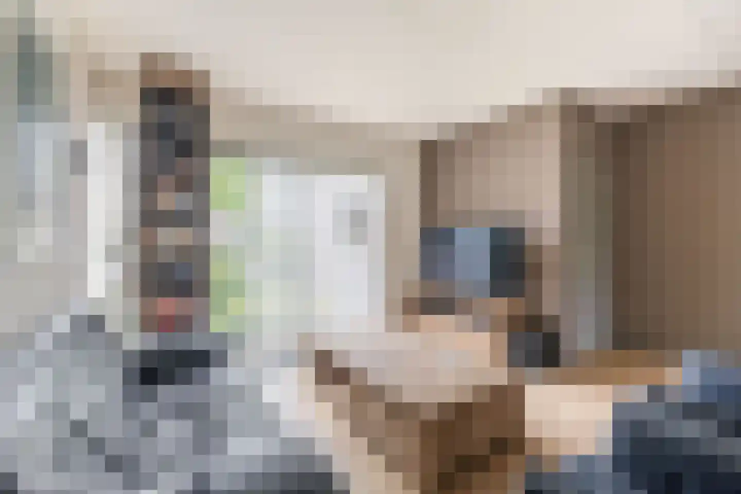 Weteringlaan 176 Tilburg thumbnail 8