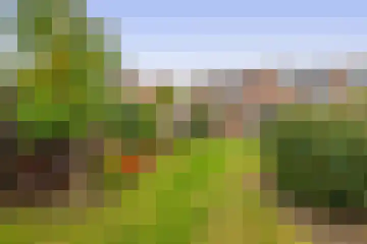 Weteringlaan 182 Tilburg thumbnail 16