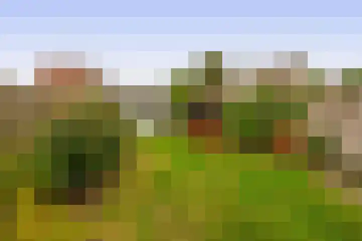 Weteringlaan 182 Tilburg thumbnail 6