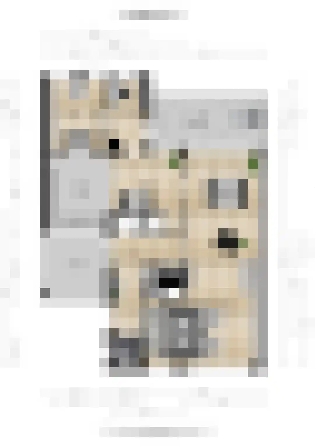 Weteringlaan 192 Tilburg thumbnail 69