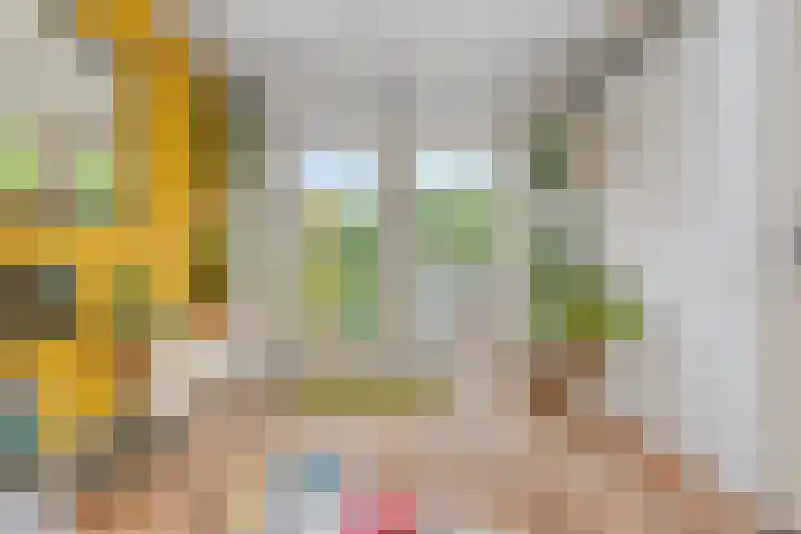 Weteringlaan 199 Tilburg thumbnail 14