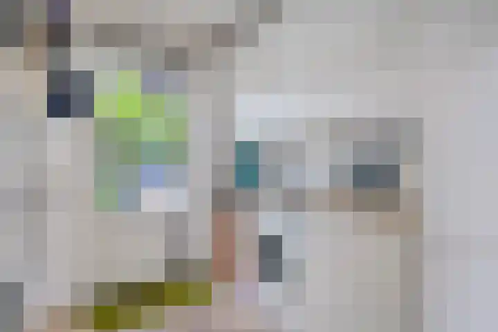 Weteringlaan 199 Tilburg thumbnail 17