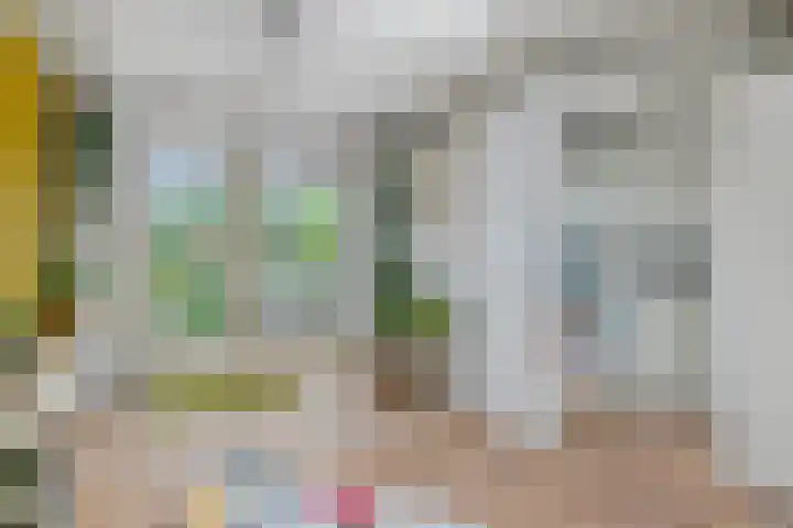 Weteringlaan 199 Tilburg thumbnail 18