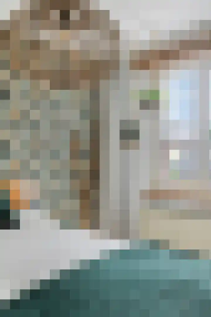 Weteringlaan 199 Tilburg thumbnail 21