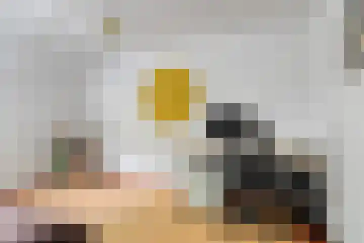 Weteringlaan 199 Tilburg thumbnail 24